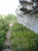 IMG_8523.jpg